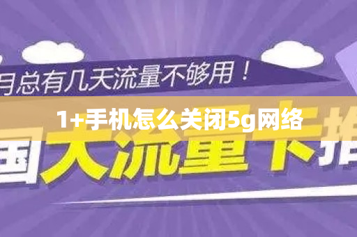 1+手机怎么关闭5g网络