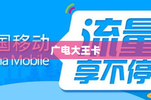 广电大王卡