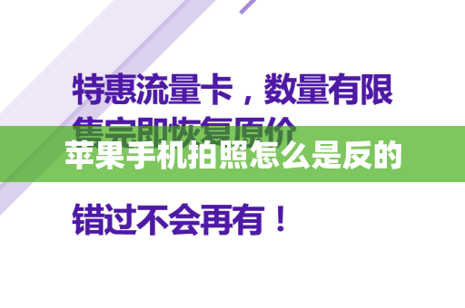苹果手机拍照怎么是反的