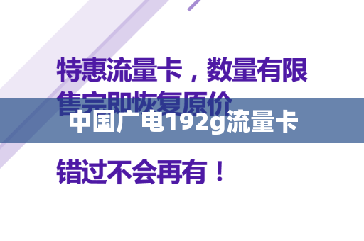 中国广电192g流量卡