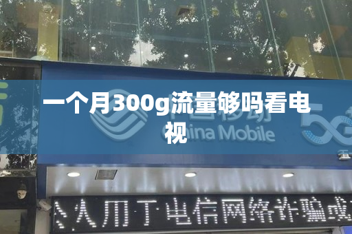 一个月300g流量够吗看电视
