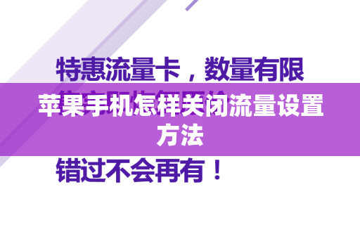 苹果手机怎样关闭流量设置方法