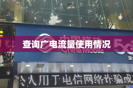 查询广电流量使用情况