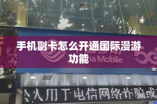 手机副卡怎么开通国际漫游功能