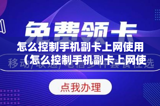 怎么控制手机副卡上网使用（怎么控制手机副卡上网使用时长）