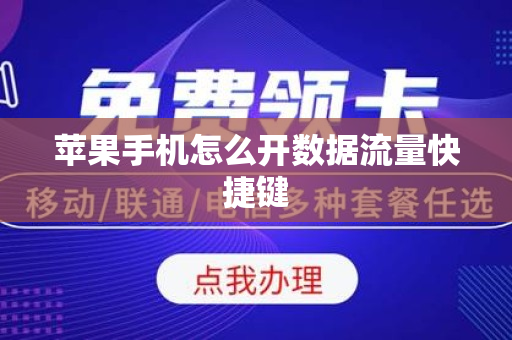 苹果手机怎么开数据流量快捷键