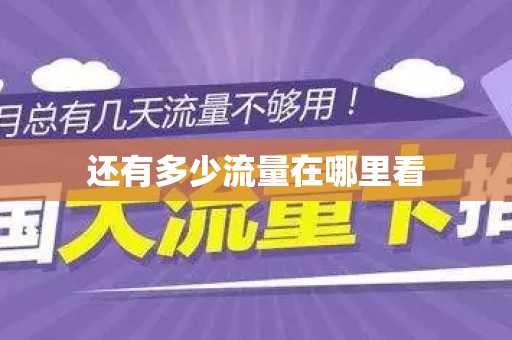 还有多少流量在哪里看