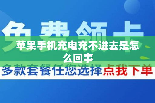 苹果手机充电充不进去是怎么回事