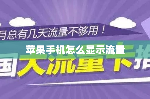 苹果手机怎么显示流量