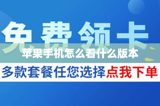 苹果手机怎么看什么版本