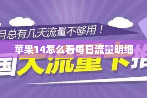 苹果14怎么看每日流量明细