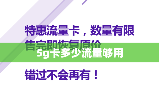 5g卡多少流量够用