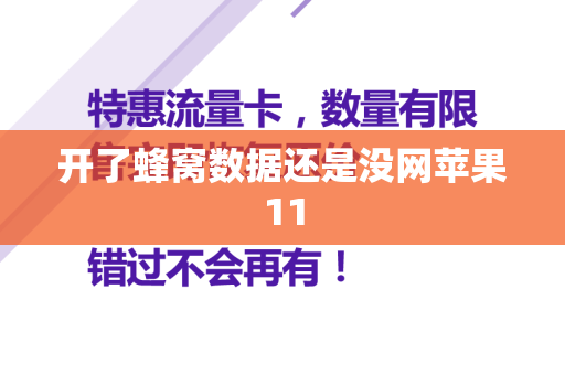 开了蜂窝数据还是没网苹果11