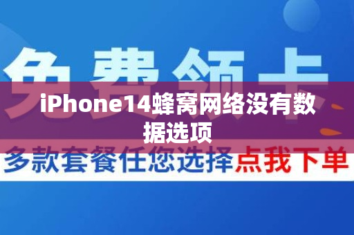 iPhone14蜂窝网络没有数据选项