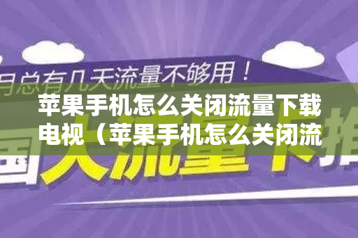 苹果手机怎么关闭流量下载电视（苹果手机怎么关闭流量下载电视剧的软件）