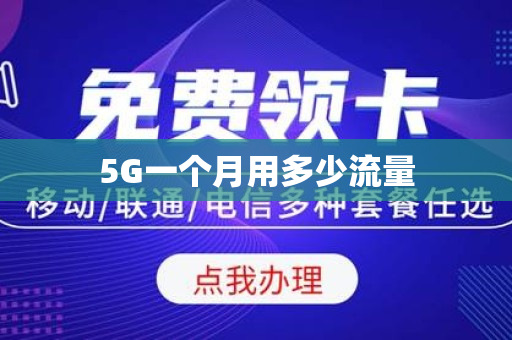 5G一个月用多少流量
