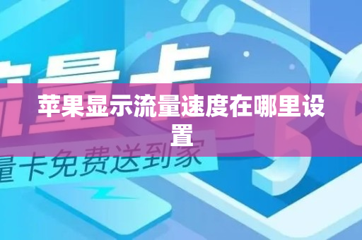 苹果显示流量速度在哪里设置