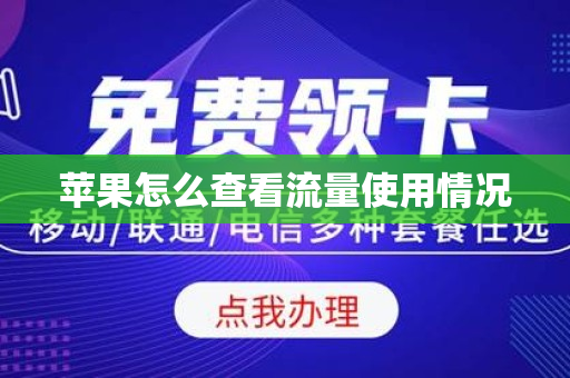 苹果怎么查看流量使用情况