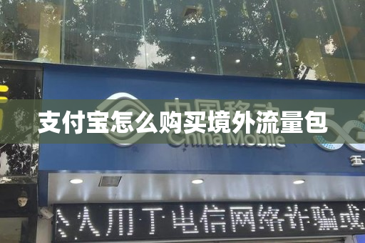 支付宝怎么购买境外流量包