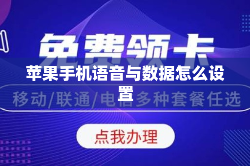 苹果手机语音与数据怎么设置