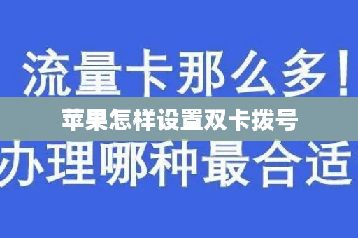 苹果怎样设置双卡拨号