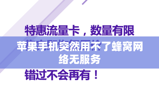 苹果手机突然用不了蜂窝网络无服务