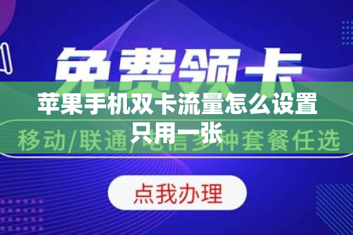 苹果手机双卡流量怎么设置只用一张