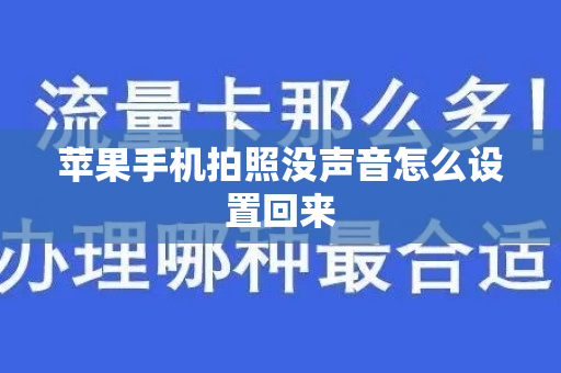 苹果手机拍照没声音怎么设置回来