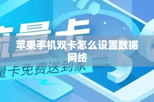 苹果手机双卡怎么设置数据网络