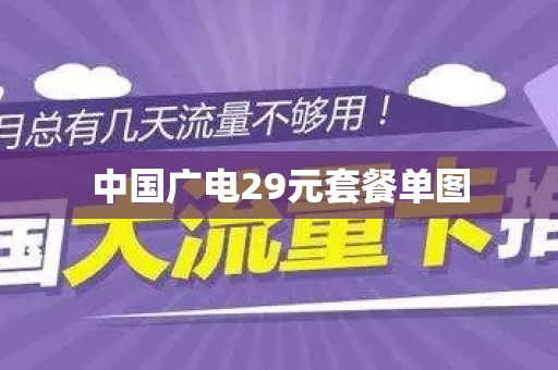 中国广电29元套餐单图