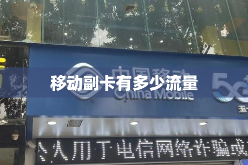 移动副卡有多少流量