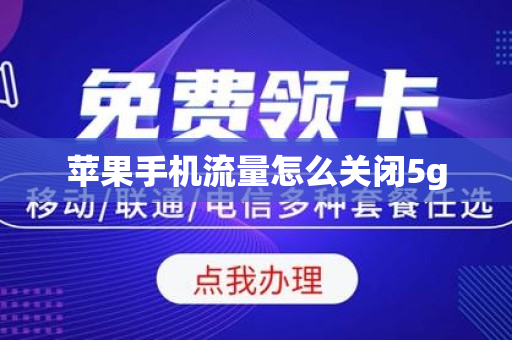苹果手机流量怎么关闭5g
