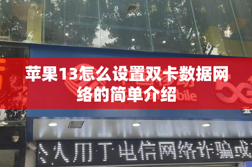 苹果13怎么设置双卡数据网络的简单介绍