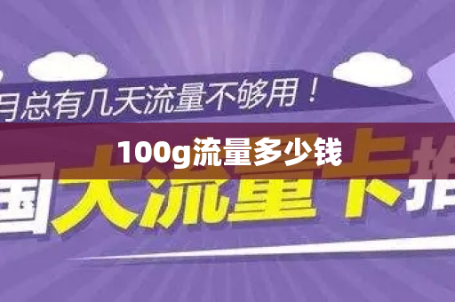 100g流量多少钱