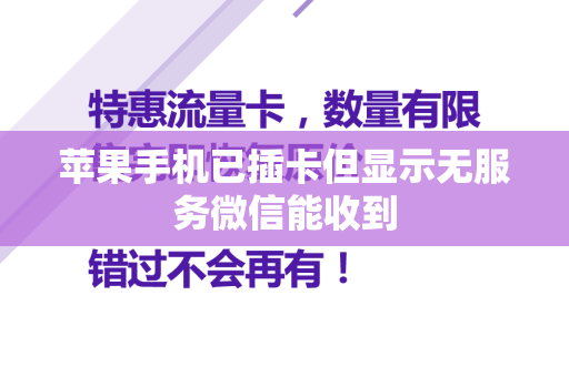 苹果手机已插卡但显示无服务微信能收到