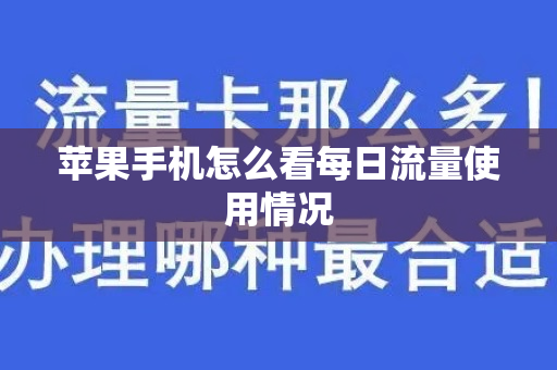 苹果手机怎么看每日流量使用情况
