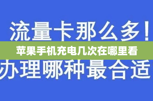 苹果手机充电几次在哪里看