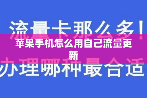 苹果手机怎么用自己流量更新