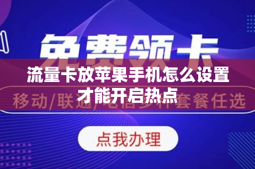 流量卡放苹果手机怎么设置才能开启热点