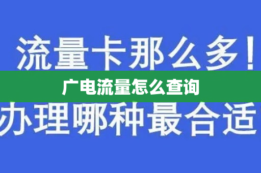 广电流量怎么查询