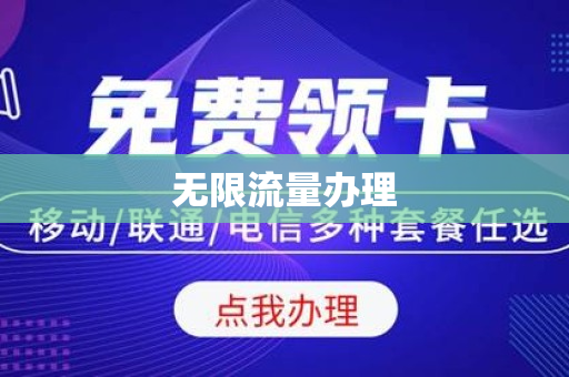 无限流量办理