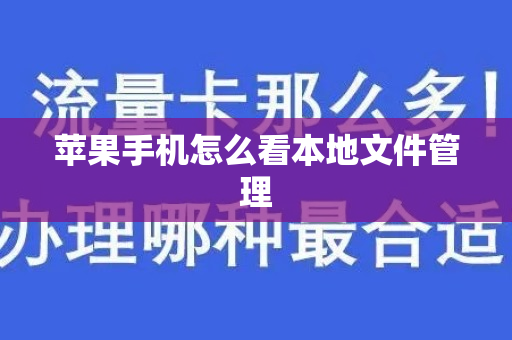 苹果手机怎么看本地文件管理