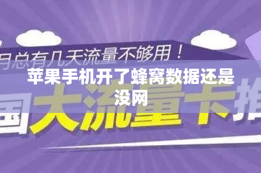苹果手机开了蜂窝数据还是没网