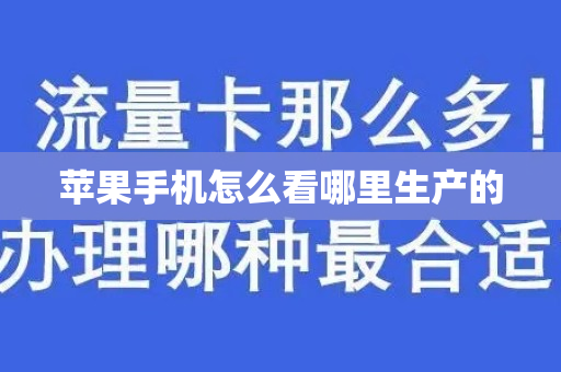 苹果手机怎么看哪里生产的