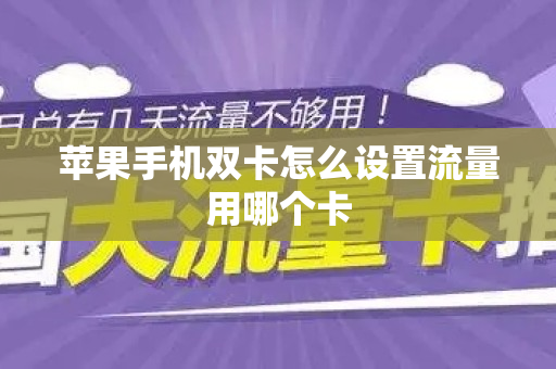 苹果手机双卡怎么设置流量用哪个卡