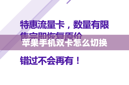 苹果手机双卡怎么切换