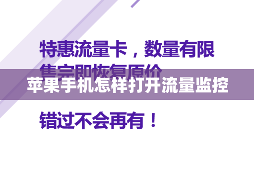 苹果手机怎样打开流量监控