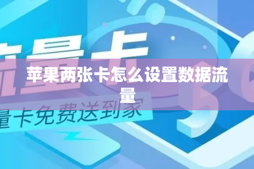 苹果两张卡怎么设置数据流量