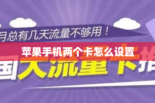 苹果手机两个卡怎么设置