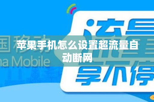 苹果手机怎么设置超流量自动断网